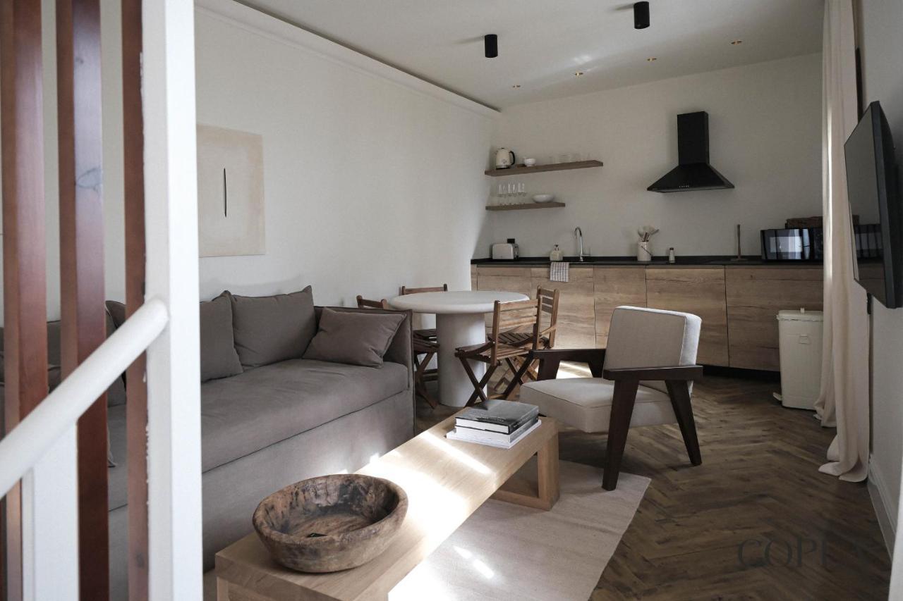 Premium With Rooftop In Centro *