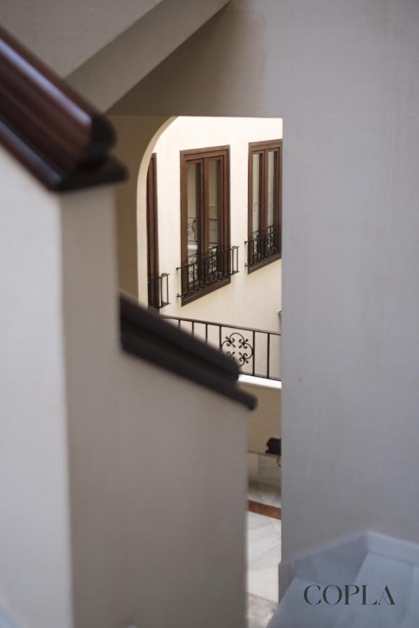 Appartement Premium With Rooftop In Centro